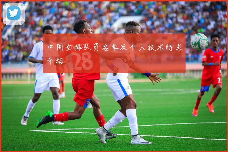 中国女排队员名单及个人技术特点介绍