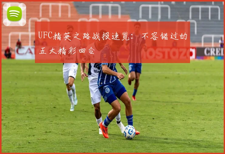 UFC精英之路战报速览：不容错过的五大精彩回合