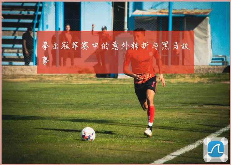 拳击冠军赛中的意外转折与黑马故事