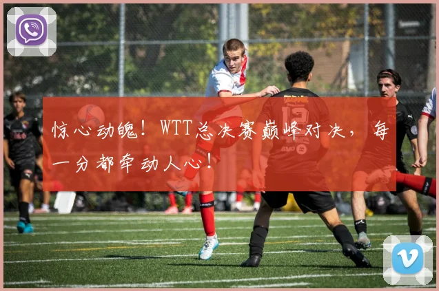 惊心动魄!WTT总决赛巅峰对决,每一分都牵动人心!