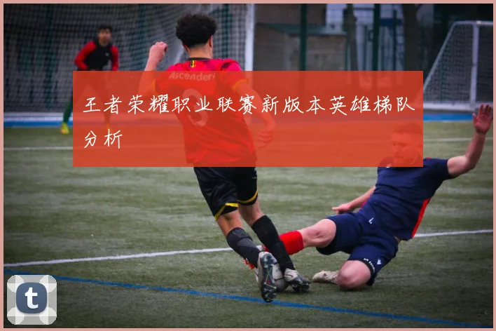王者荣耀职业联赛新版本英雄梯队分析