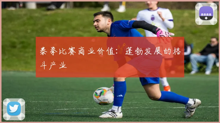 泰拳比赛商业价值:蓬勃发展的格斗产业