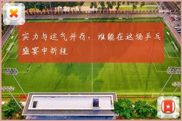 实力与运气并存,谁能在这场乒乓盛宴中折桂
