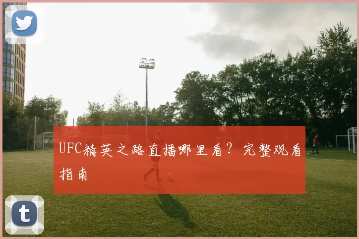 UFC精英之路直播哪里看？完整观看指南