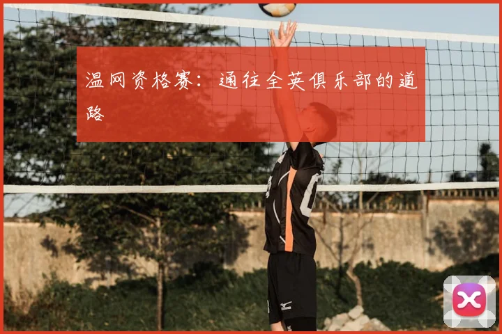 温网资格赛:通往全英俱乐部的道路