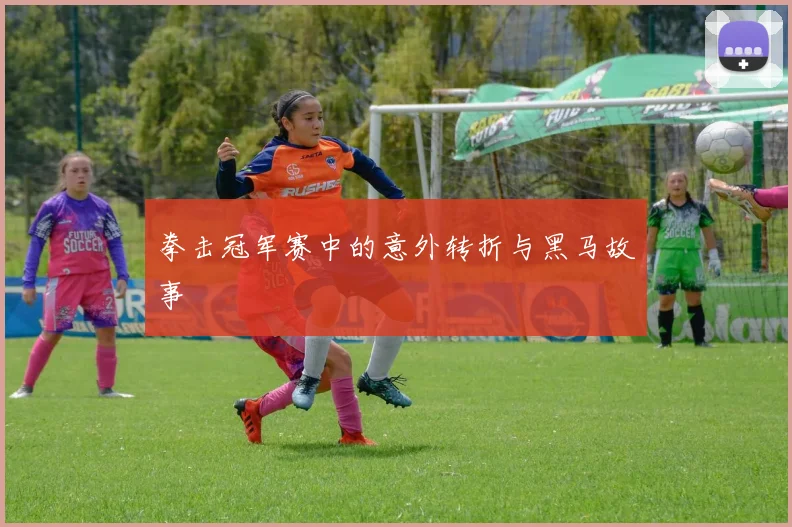 拳击冠军赛中的意外转折与黑马故事