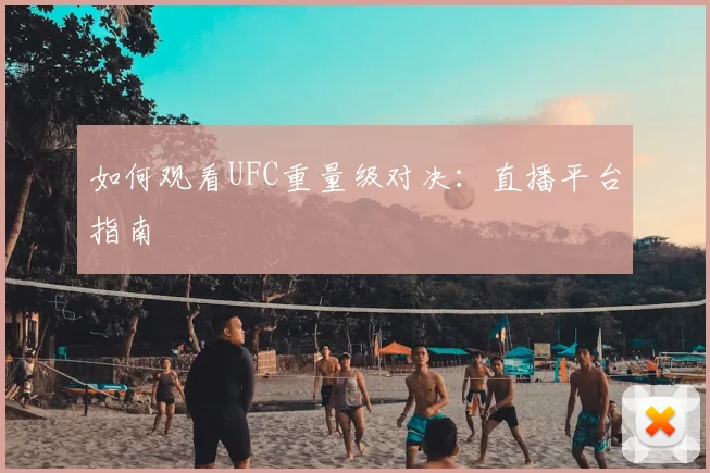 如何观看UFC重量级对决：直播平台指南