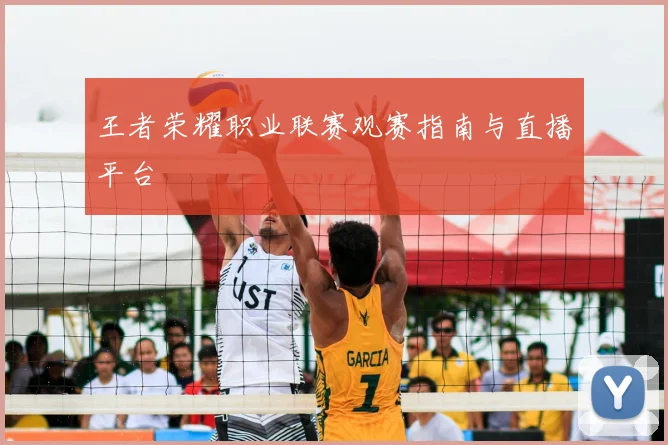 王者荣耀职业联赛观赛指南与直播平台