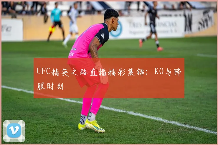 UFC精英之路直播精彩集锦:KO与降服时刻