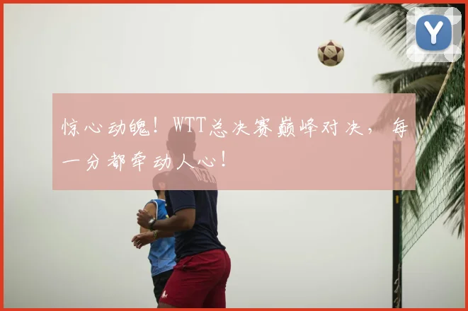 惊心动魄!WTT总决赛巅峰对决,每一分都牵动人心!