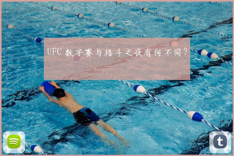 UFC 数字赛与格斗之夜有何不同?