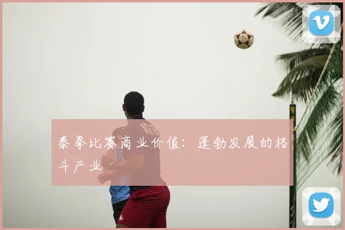 泰拳比赛商业价值:蓬勃发展的格斗产业