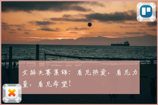 女排决赛集锦:看见热爱,看见力量,看见希望!