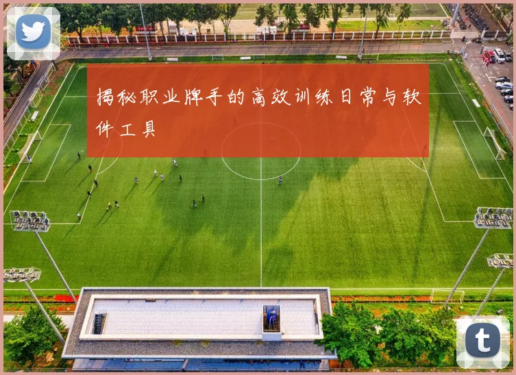 揭秘职业牌手的高效训练日常与软件工具